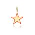 BIG STAR CHARM